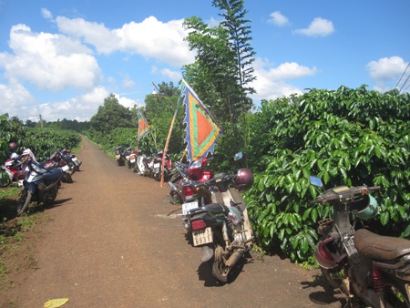 Gia đình đang mai táng cho cháu Mến