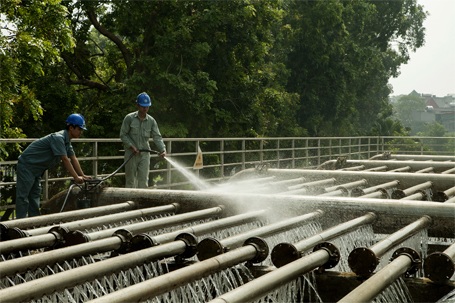 Làm vệ sinh ống nước  (giải Khuyến khích) - tác giả: Tạ Ngọc Xuân