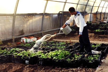 Tác phẩm nhận giải nhì: Nước với tăng gia sản xuất tại quần đảo Trường Sa - tác giả Huy Thịnh