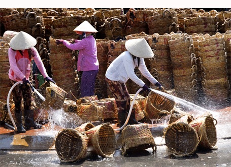 Cuộc sống  (giải khuyến khích) - tác giả: Trần Văn Túy