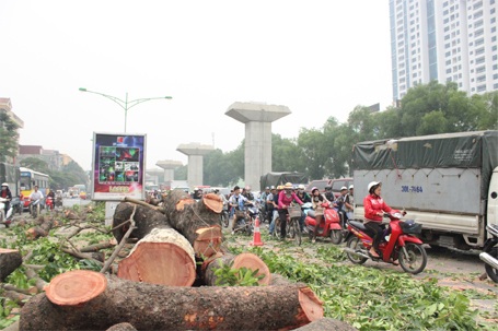 105 ngày hồi sinh kỳ diệu! - 8 Phương tiện di chuyển rất khó khăn qua đoạn đường này