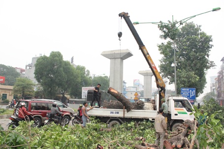 Khẩn trương di chuyển cành, thân cây khỏi hiện trường...
