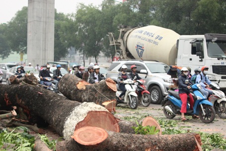 Phương tiện di chuyển rất khó khăn qua đoạn đường này
