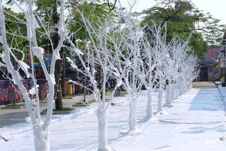 “Con đường tuyết” xuất hiện tại Hà Nội