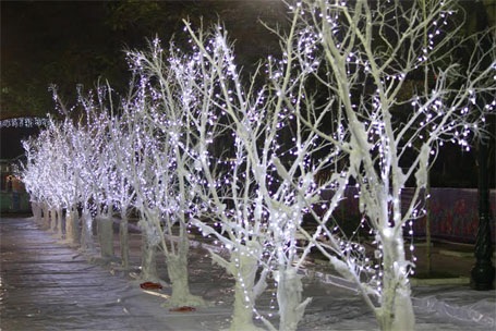 Con đường tuyết lung linh hơn khi về đêm