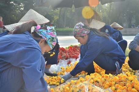 Hối hả kết chữ bằng hoa