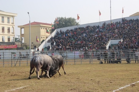 Những màn chọi nảy lửa khiến khán giả thích thú