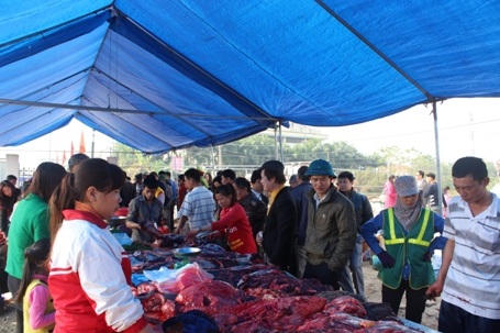 Ông trâu thua cuộc phá rào chạy thục mạng