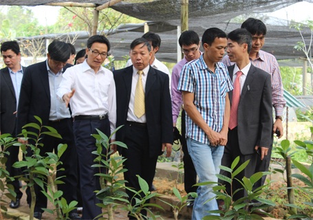 Phó Thủ tướng Vũ Đức Đam thăm một số cơ sở y tế tỉnh Vĩnh Phúc - 4 Phó Thủ tướng Vũ Đức Đam thăm một vườn trồng cây thuốc nam trên địa bàn huyện Tam Đảo