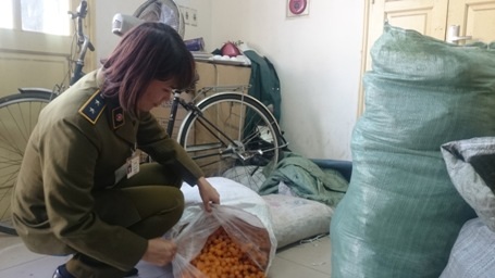 Hoa quả khô không rõ nguồn gốc