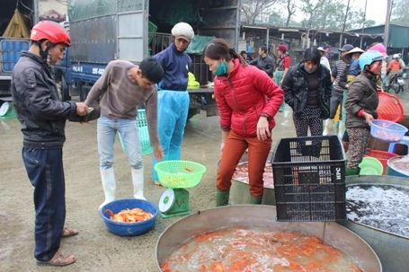 Sức mua cá chép vàng tại chợ này rất chậm