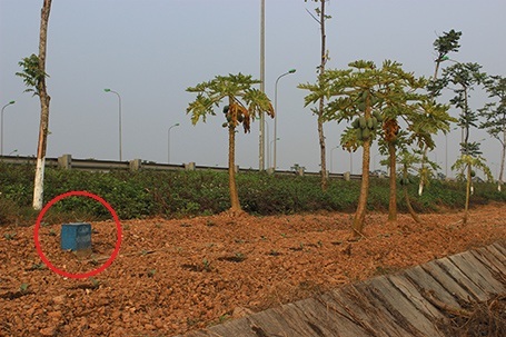 Bất chấp cột mốc cấm vi phạm...