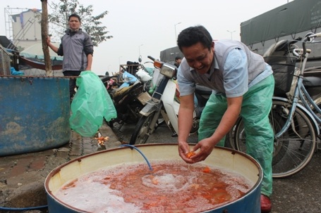 Anh Phúc xác định năm nay sẽ lỗ vốn gần 1 nửa vì giá cá xuống quá thấp