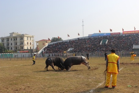 Những màn chọi nảy lửa khiến khán giả thích thú
