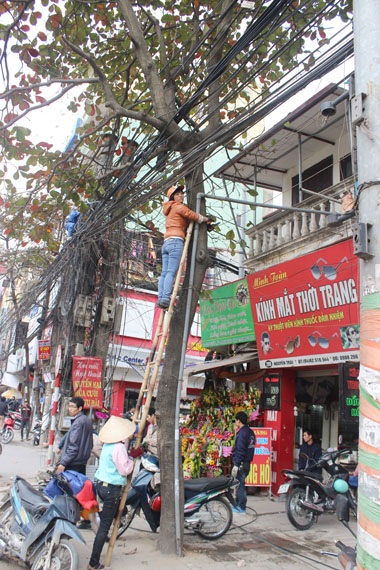 Hà Nội: Hối hả nhặt nhạnh “rác trời” - 5 Trèo cả lên thang để rút dây