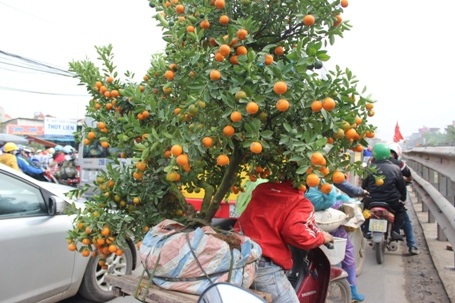 Chuyến xe chở Tết này đang rất sốt ruột về nhà.