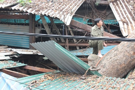 Đơn vị cây xanh đang khắc phục sự cố