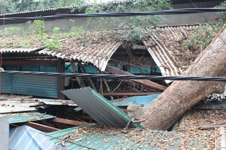 Mái tôn của 1 số ki ốt của chợ này đã bị đâm thủng