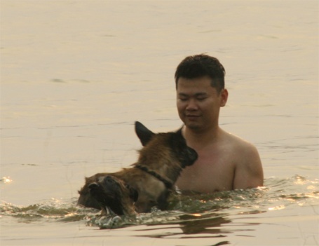 Vui đùa cũng những chú chó cưng...