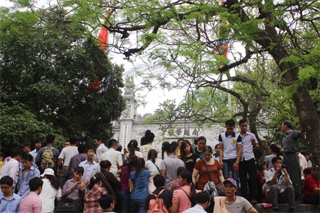 "Đu cây", leo dốc, chen lấn nghẹt thở tại lễ hội Đền Hùng - 12 Đền Thượng chật cứng người