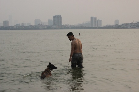 Vui đùa cũng những chú chó cưng...