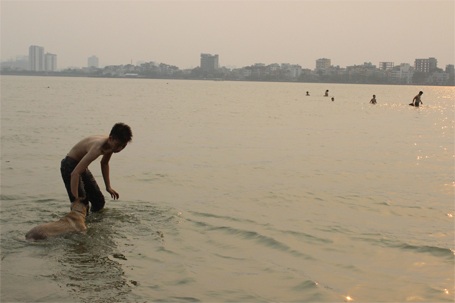 Vui đùa cũng những chú chó cưng...