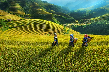 Nắng nóng mở rộng ra Tây Bắc Bộ, Trung Bộ - 1 Hôm nay, dự báo nắng nóng sẽ bao trùm các vùng núi Bắc Bộ (ảnh minh họa internet)