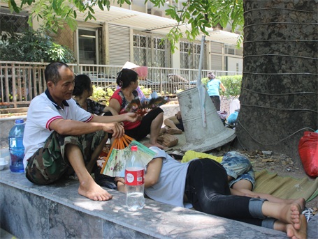 Muôn kiểu “trốn” nắng nóng trong bệnh viện - 3 Anh Trung đang quạt mát cho 2 con gái