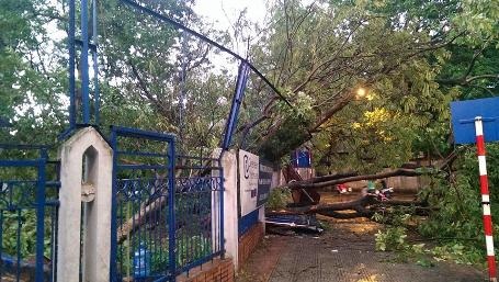 Mưa giông lớn "càn quét" Hà Nội, cây xanh đổ la liệt, giao thông hỗn loạn - 32 Hàng loạt cây đổ trên đường Kim Mã (đoạn giao nhau với phố Vạn Bảo)