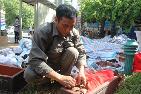 Công nhân đang chuyển những bộ hài cốt sang các tiểu mới.