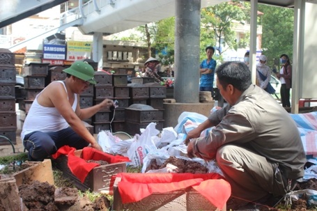Công nhân đang chuyển những bộ hài cốt sang các tiểu mới.
