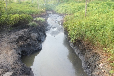 Còn rất nhiêu dung dịch dạng lỏng, nghi là hóa chất hoặc dầu thải