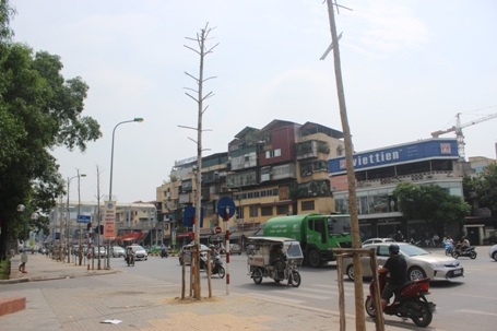 Như những chiếc cọc khô...