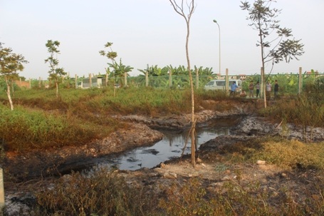 Xung quanh cỏ cây bị cháy rụi