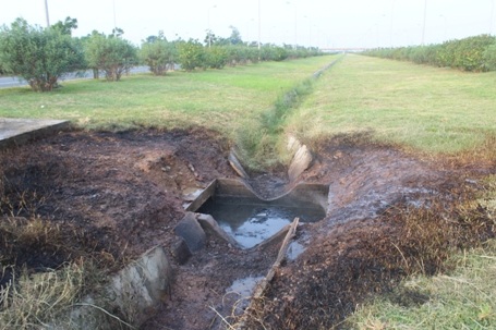 Xung quanh cỏ cây bị cháy rụi
