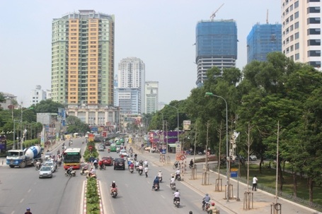 Hai hàng cọc khô đừng bên đường Nguyễn Chí Thanh