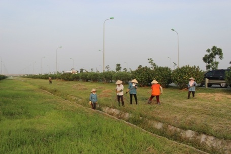 Công nhân phải tránh xa khu vực cháy vì mùi khó thở bốc lên nồng nặc