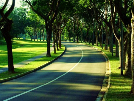 Ngắm trường công lập hàng đầu của Singapore - 1 Ngắm trường công lập hàng đầu của Singapore - 1