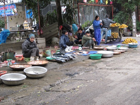 Hà Nội: Người dân khốn khổ vì chợ cóc họp giữa lòng đường - 7 Hà Nội: Người dân khốn khổ vì chợ cóc họp giữa lòng đường - 7