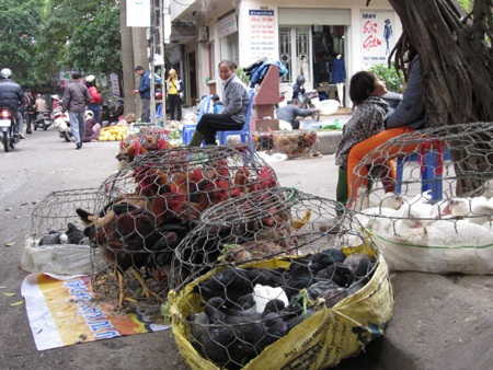 Hà Nội: Người dân khốn khổ vì chợ cóc họp giữa lòng đường - 6 Hà Nội: Người dân khốn khổ vì chợ cóc họp giữa lòng đường - 6