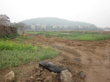 Cần làm rõ trách nhiệm trong việc đền bù đất dự án tại huyện Gia Bình - 5