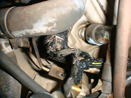 Chuột cũng là nguyên nhân làm cháy xe máy? - 4