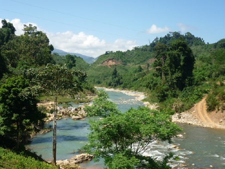Trà Cang:  Một góc nhìn!