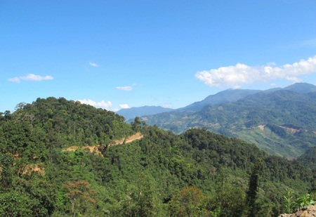 Trà Cang:  Một góc nhìn!