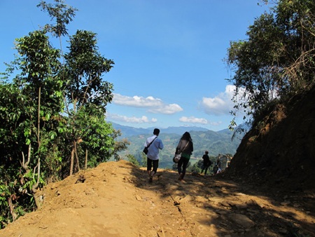 Trà Cang:  Một góc nhìn!