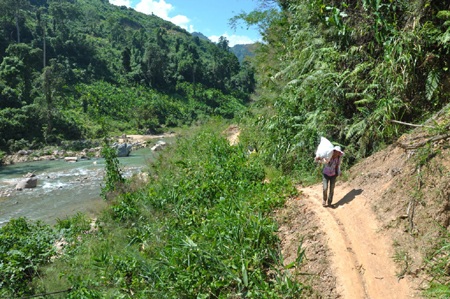 Trà Cang:  Một góc nhìn!