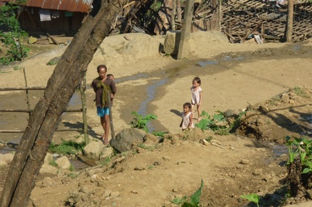 Trà Cang:  Một góc nhìn!