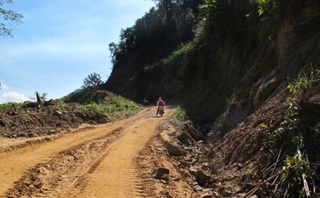 Trà Cang:  Một góc nhìn!