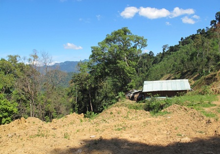 Trà Cang:  Một góc nhìn!