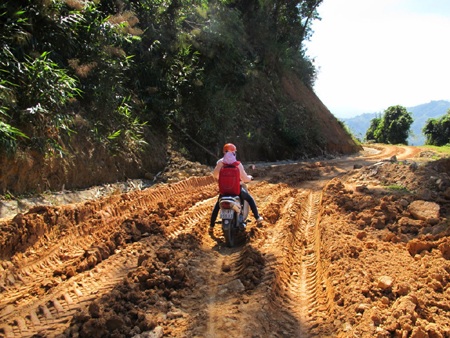 Trà Cang:  Một góc nhìn!